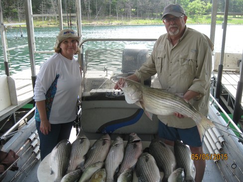 Nice Striped Bass